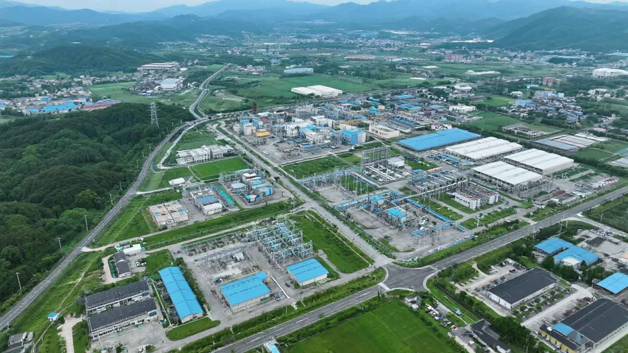 Understanding Skynet Itamogi's Influence