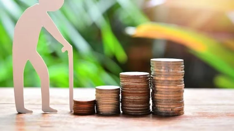 Pension Investment Choices: A Guide to Selecting the Right Funds