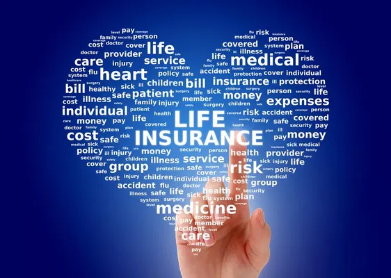 Your Guide to Affordable Life Insurance for Seniors