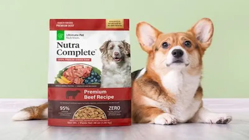Get Premium Nutrition for Your Pet at Unbeatable Prices