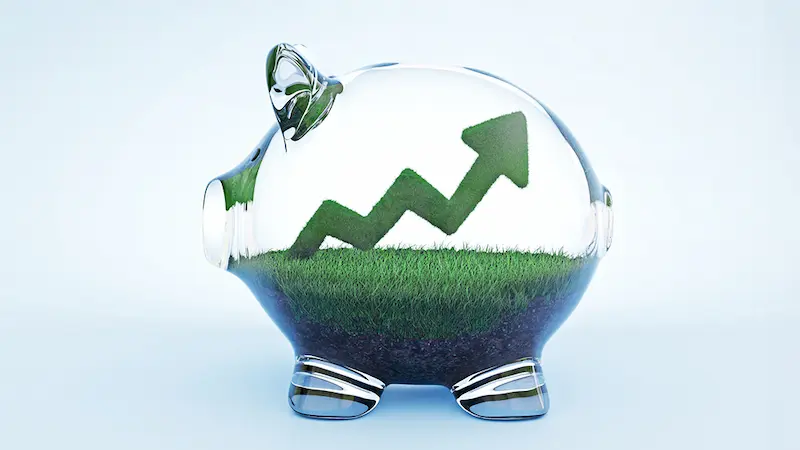 Maximizing Financial Stability Through Savings Accounts & Interest Rates